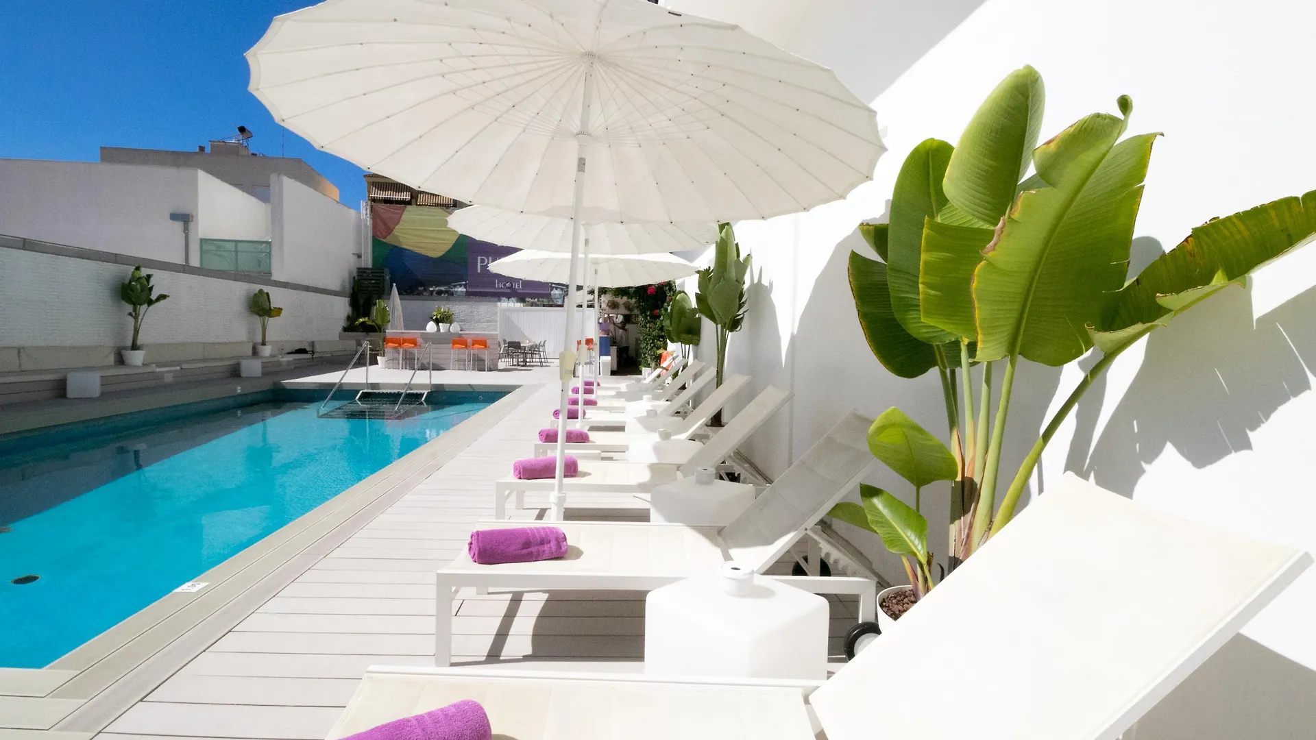 The Purple Hotel - Adults Only San Antonio